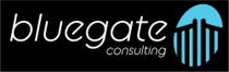 Bluegate consulting